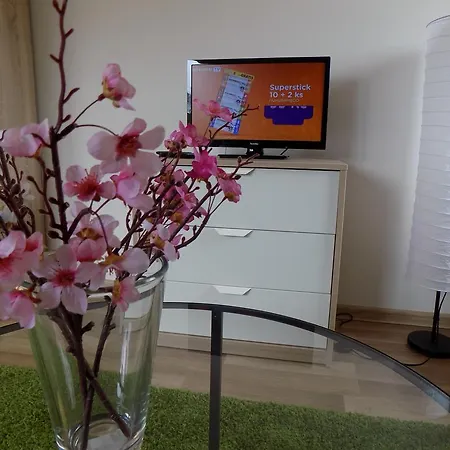 Karlsbad Apartments Apartament